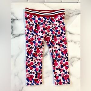 Janie and Jack 18-24 month legging pants